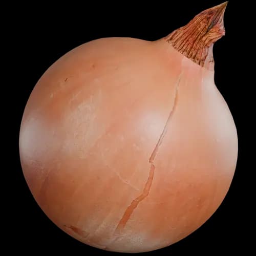 Large Onion
